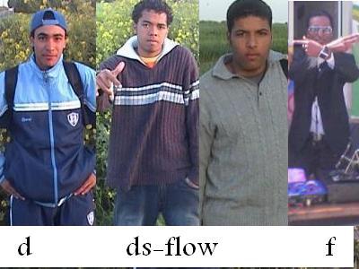 *ds-flow *